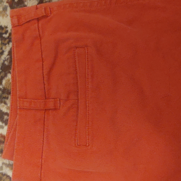 JCrew Rusted Red Pants - Picture 2 of 3